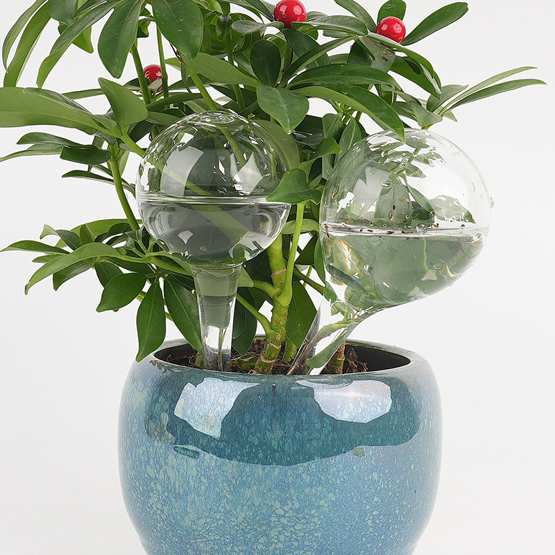 Transfronterizo al por mayor bola serie de riego de flores de vidrio automático goteo maceta ornamental herramienta de jardinería image 3