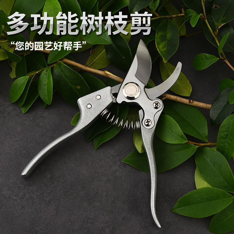 现货园艺剪园林翦修枝剪刀弯头花园剪刀摘果剪园林工具剪厂家供应