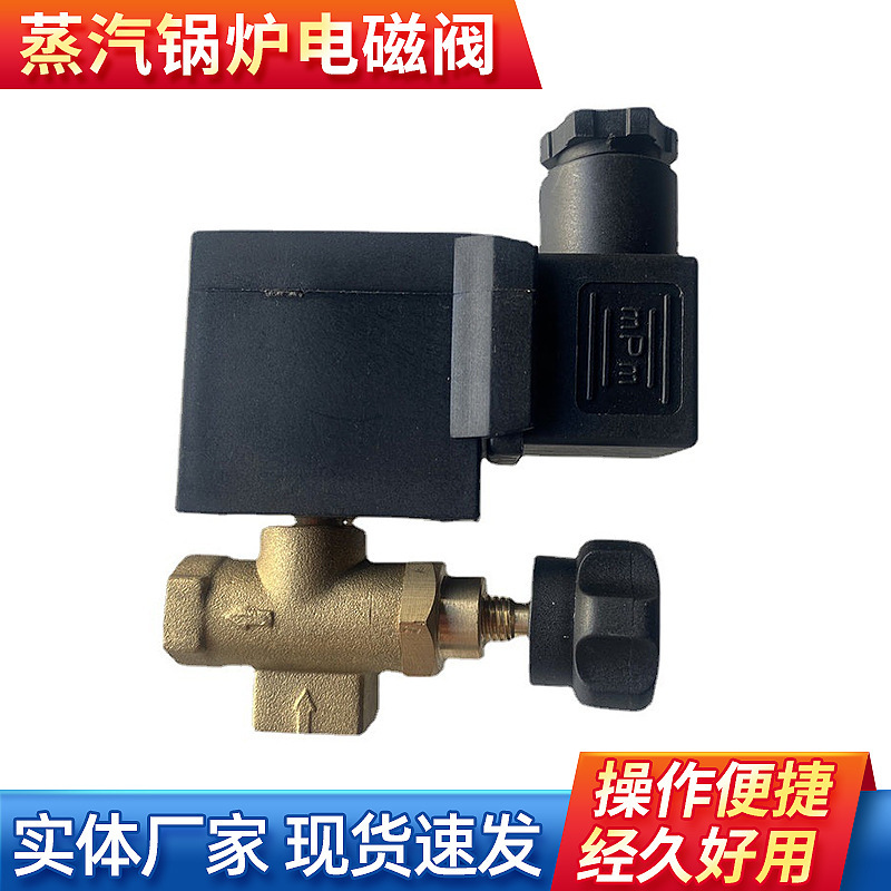 Original factory original wholesale 220V/50Hz electric heating steam boiler iron accessories boiler special solenoid valve Original factory original wholesale 220V/50Hz electric heating steam boiler iron accessories boiler special solenoid valve
