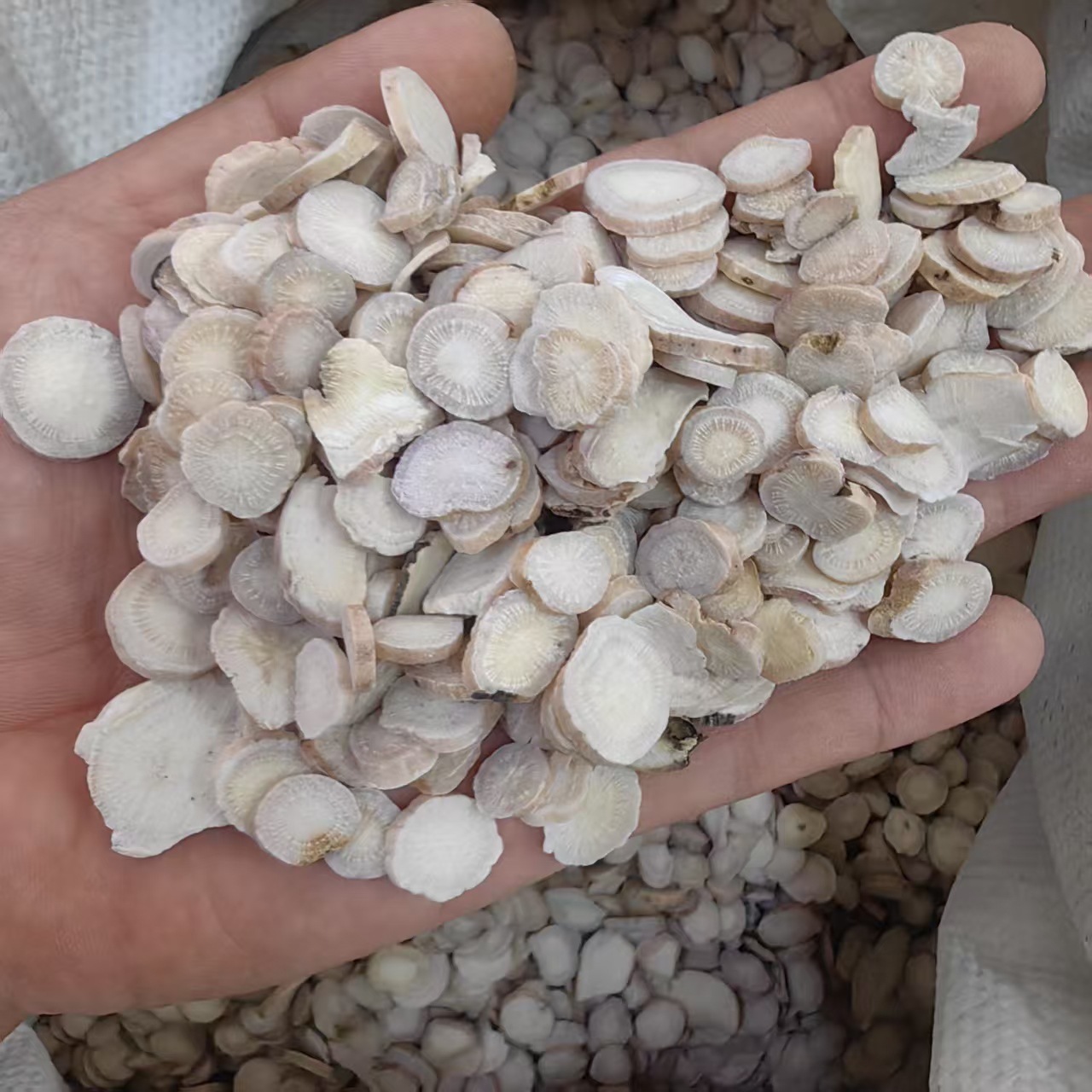 White Peony Root Slices Bai Shao 白芍 Sulfur-Free Dried Herb for Decoction and Powder quality and texture