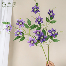 ����5�^�F��ɏ���Ҿӻ�c�zӰ�b�����ֲ����滨���F��ɏ�ٻ�