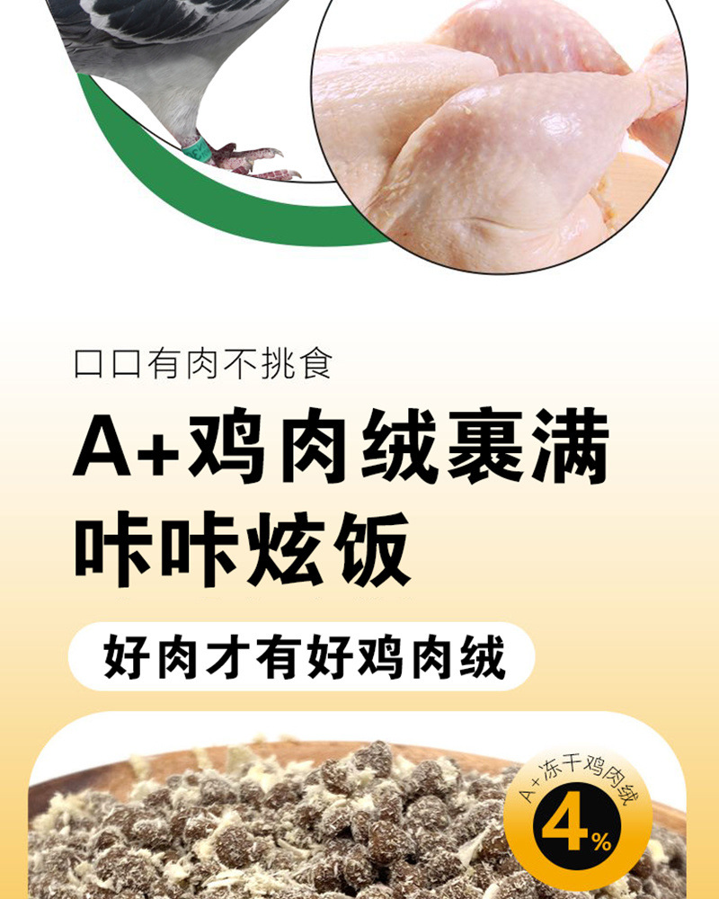 fc478cb1-74fc-482e-9b92-8c8aff2d5760.jpe