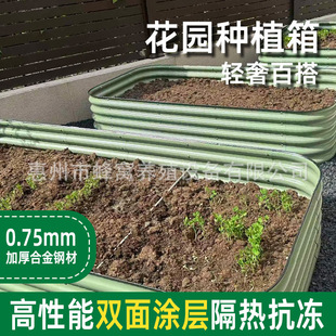 ���ٻ��������⻨�@����\��Nֲ��N�˿򻨈@�����۷Nֲ������