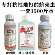 򻚤�x���Ú��x�������� ���x.���ͪ�����@�ֹ���隤�x��ʭ��