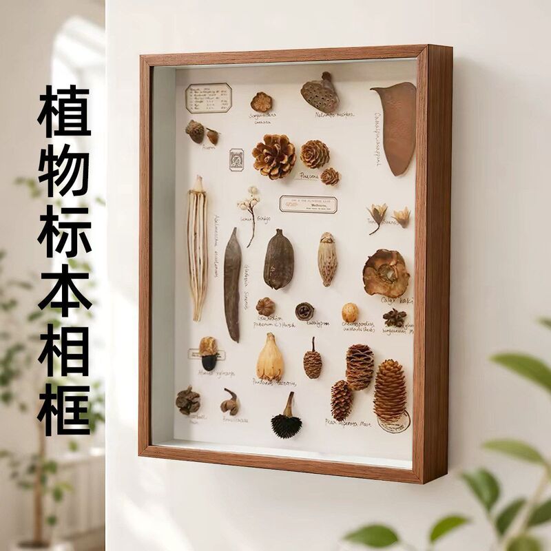 DIY Handmade Photo Frame Stereo Hollow Specimen Frame Shell Stone Plant Dried Flower Collection Preservation Display Picture Frame