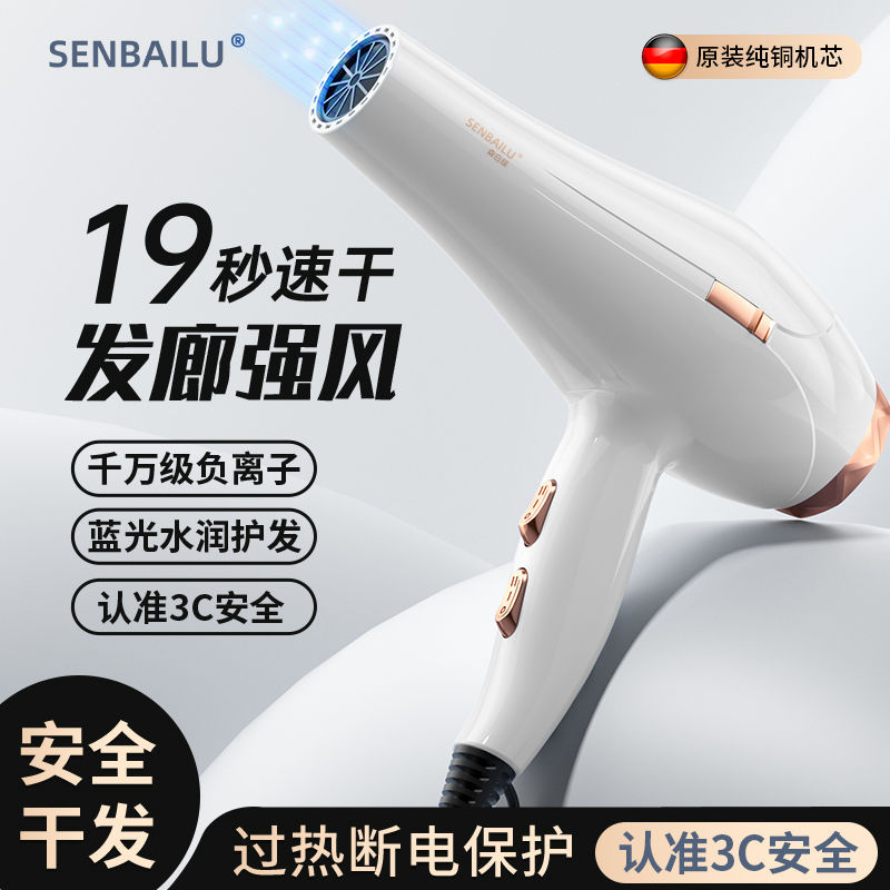 New Hair Dryer Household High-Power Hair Salon Strong Wind Negative Ion Student Dormitory Silent Hot and Cold Wind Hair Dryer