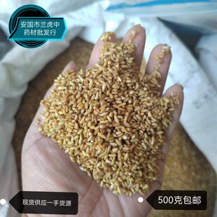 �F؛���l������ ���� �Ȱ��� ���� �،�500���������]���󃞻�