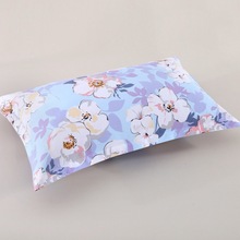 �������l����С����������  �ӹ��黨һ��48&times;74��朼������^��