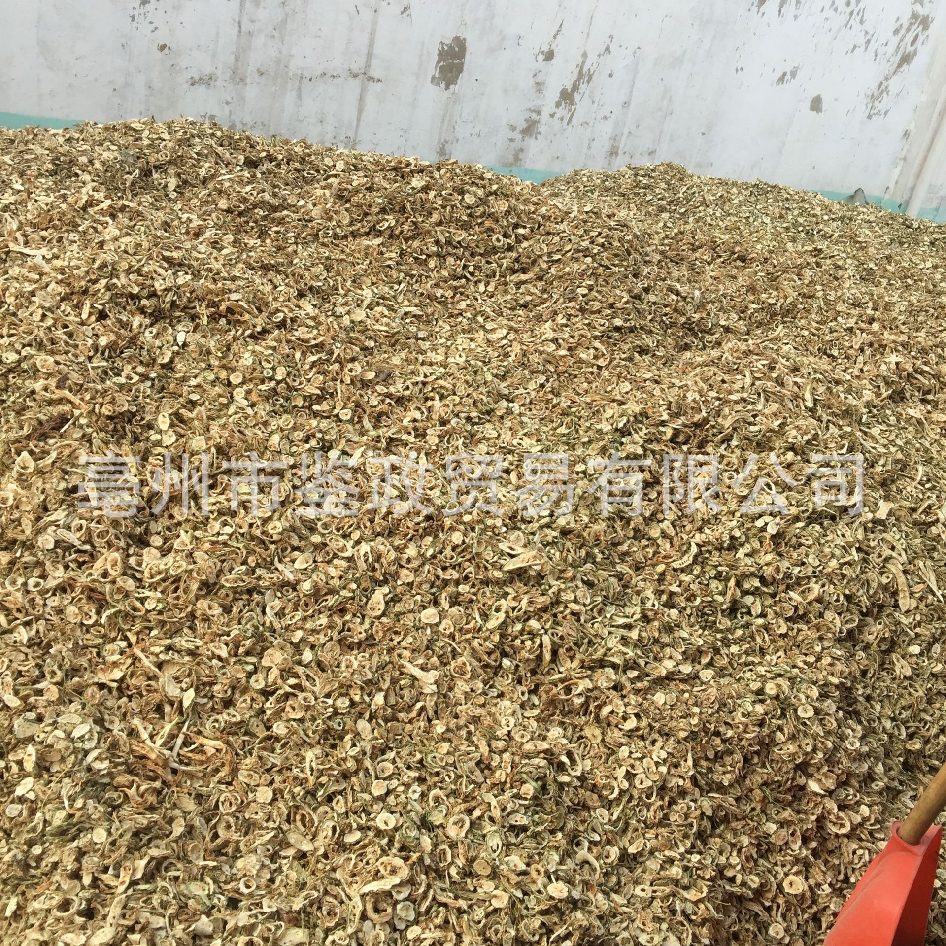 Dried Bitter Melon Slices Ku Gua Bulk Herbal Tea Ingredient Sun Dried 500g in use