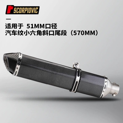 tail 51MM universal GSX – Motorcycle exhaust pipe - fully-imitation-carbon-fiber-small-hexagonal-570mm-diagonal-tail