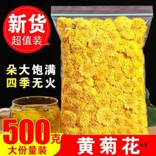 黄菊花500g级散装菊花茶婺源皇菊花泡水新货非黄山贡菊胎菊