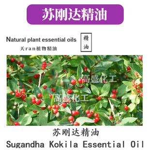 �K���_���� ���~�� �η����� �o�w ���yƷԭ�� 10ml