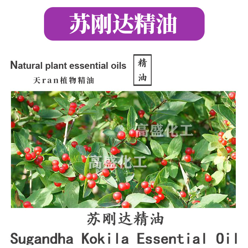 苏刚达精油 灰叶樟 单方精油 护肤 化妆品原料 10ml