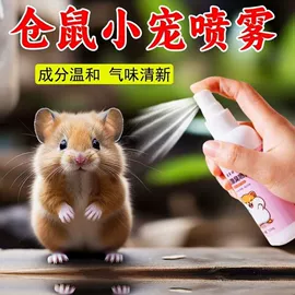 其他小宠用品;猫猫玩具;造景石