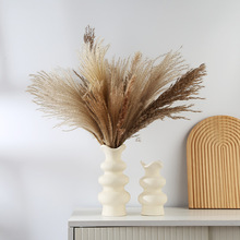 �羳���c�մɻ�ƿ�߼��п͏d�������޸ɻ��r��ˮ�໨���[��ins�L