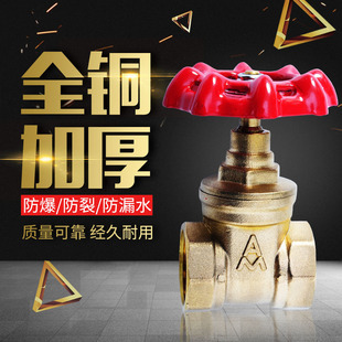 ������169�S�~�l�yZ15W-16T�z���l�y4��6��1��DN15-DN50����ˮ��