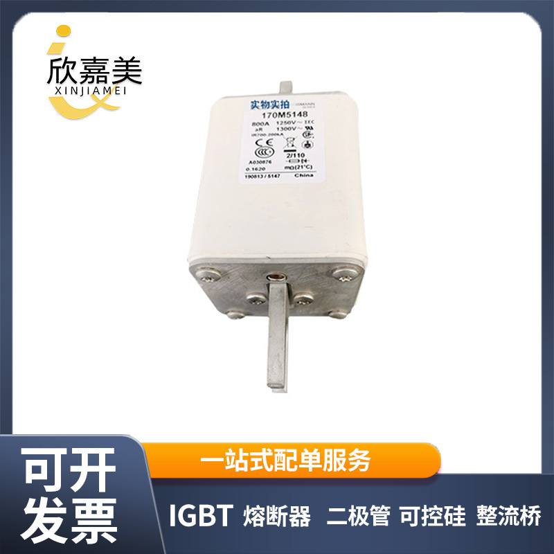 170M5146 170M5147 170M5148 低压快速熔断器 电子元器件库存充足