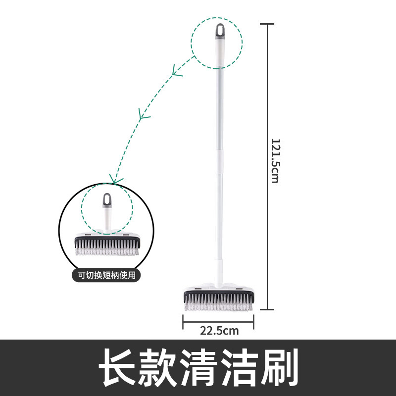 화이트