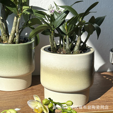 北欧简约白色花盆陶瓷渐变室内蝴蝶兰小众绿植咖啡厅简约花店盆器