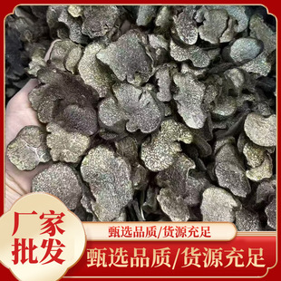 ����¶��ƬҰ������¶�������b��ȫ�K���i������؛��ɢ�b�F؛���l