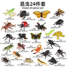 儿童仿真昆虫玩具动物模型系列摆件全套蝴蝶蜘蛛蜜蜂蝎子密封标本