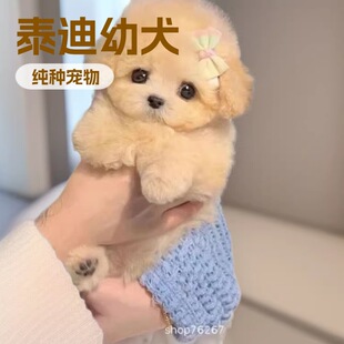 ���l�F�eȮ��Ȯ���w��С������ﹷ̩�ϼ��N���pȮ��HȮ�豭Ȯ