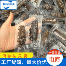 电商平台爆品货源 按只卖大连海参辽参即食海参开袋即食批发