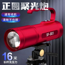 手电筒;头灯头戴电筒;钓鱼灯