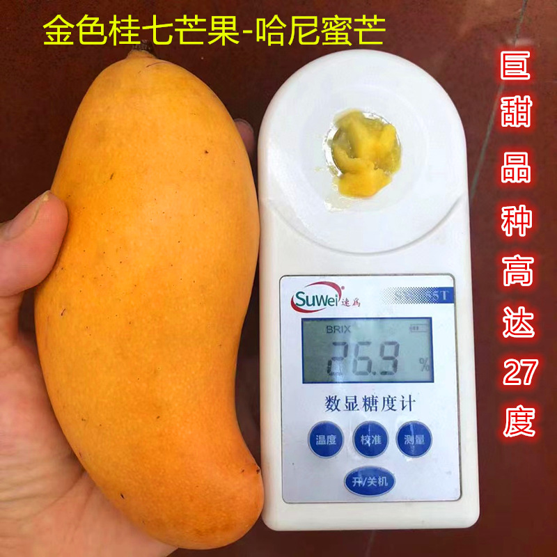 微信图片_20240824001549_副本