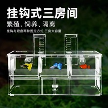 孔雀鱼繁殖盒鱼缸非亚克力隔离盒特大号产卵孵化挂钩式三房孵化盒