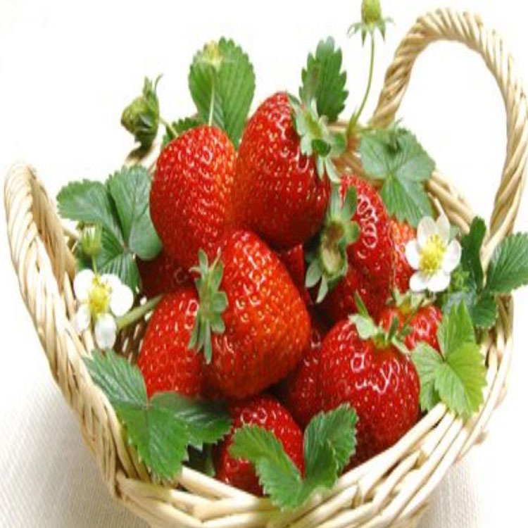 食品添加剂 乳化草莓香精 食用水果味香精香料带颜色食用草莓香精