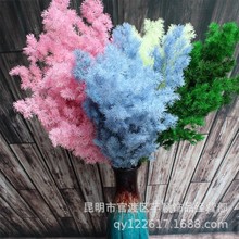 RɏSl滨RɱrƷ 廨ˇYƷDIY