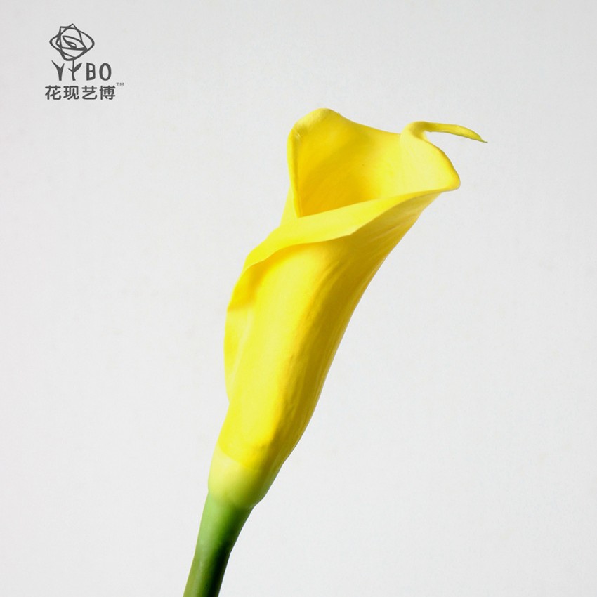 노란색