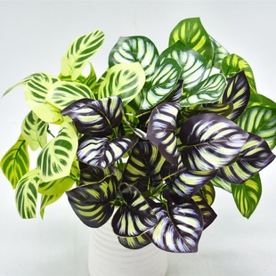 7���^�z�ָз���ֲ�� ����߼y�~ �A�}�~ ����ֲ���Ŀ�ȸ�~