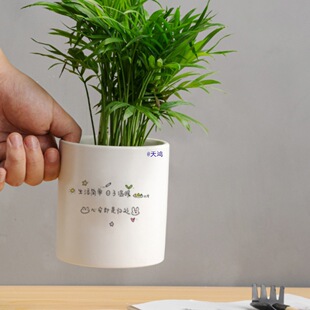 �҃��p�ݼ��ÿɐۄ������Gֲ���Ժ����m�մɻ���I�B�����бP