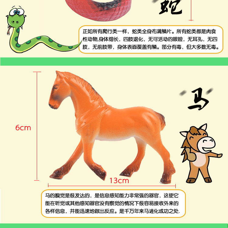 12生肖_08