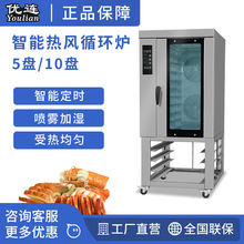 B늿10PLtP䓟LѭhtX濾t YSN-10D