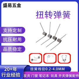 定做不锈钢扭转弹簧发夹合页垃圾桶盖扭簧V形线径0.3~2.5弹簧工厂