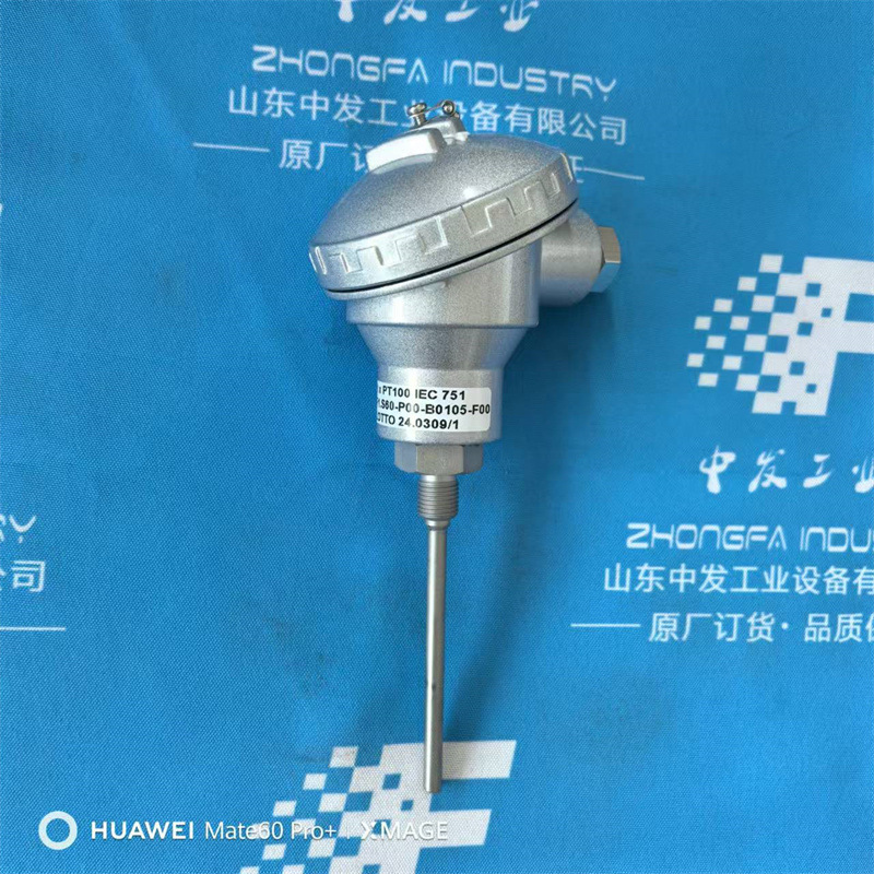 意大利ELSI热电偶F1.S60-P00-B0105-F00