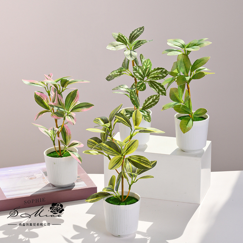 Simulación de plantas verdes, pequeñas plantas en macetas, flores artificiales, flores creativas, decoración de estudio fotográfico para el hogar, plantas verdes artificiales, bonsai de simulación image 1