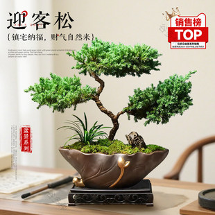 ӭ������������_�h������辰�[���҃ȿ͏d����Gֲ�����Ϙ�����