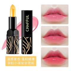 Carrot Lipstick, Same Style Hydrating and Nourishing Transfer-Proof Multi-Color Lipstick