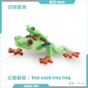 T15714 red-eyed tree frog 15g