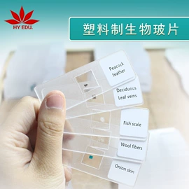 生物教学器材;医药教学器材;科教玩具