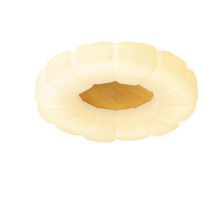 Creative LED modern ceiling light, lights for bedroom for living room, comfortable light spectrum
