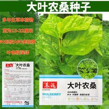 ���~�rɣ�N�ӵ���ɣ���ɣ���~ɣ�Qɣ�rɣ��ɣ��ɣ�N��