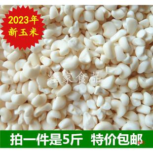 �V���ó�Ŵ�����^������������������ÓƤ�����������s�Z