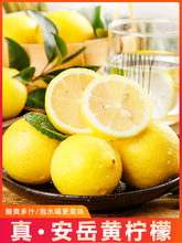 aֱlĴS r Ƥ֭ 5bЇo