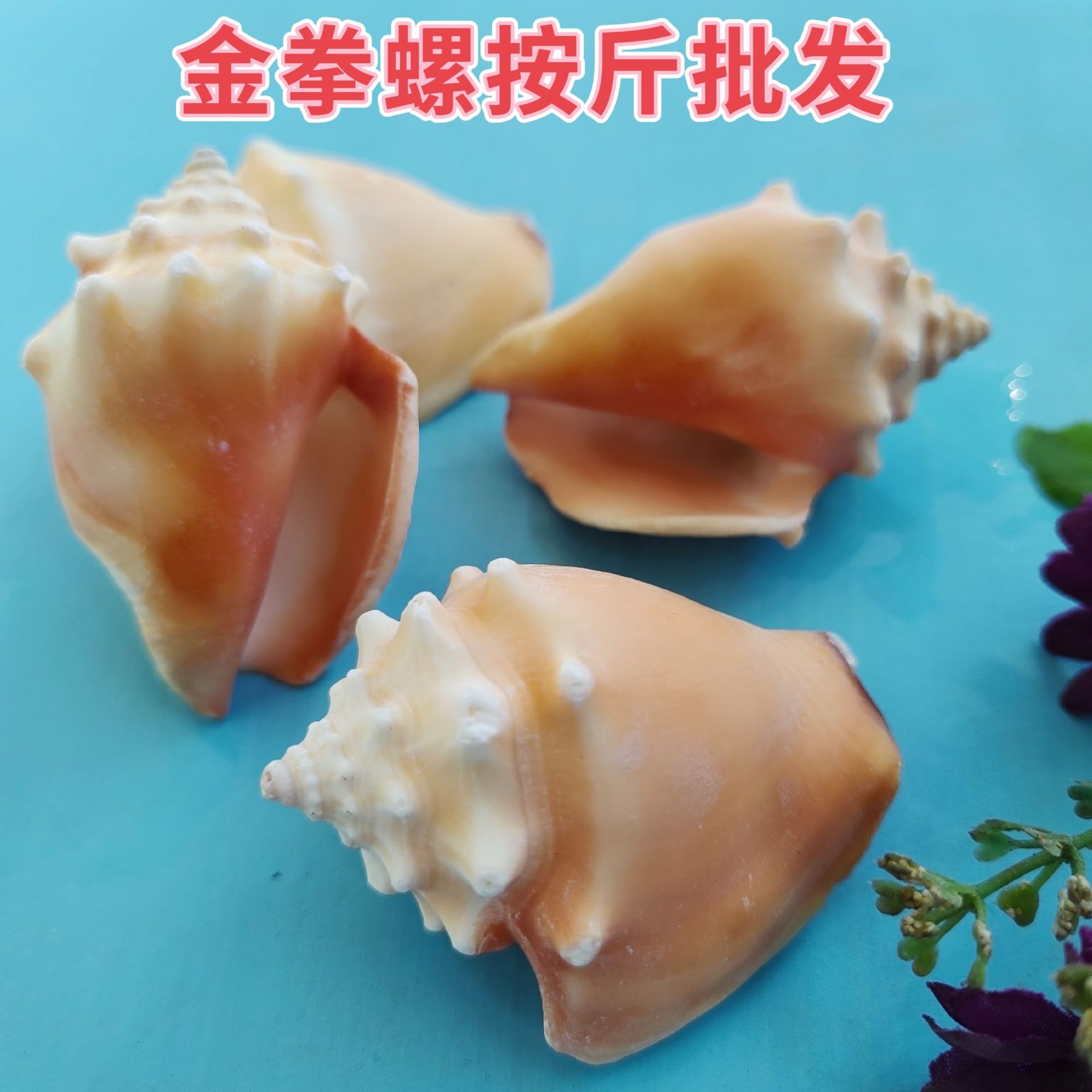 MEITU_20241130_184954412