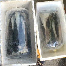 bˮb~\ݔĴӼӺ^p~ˮ~bϴ